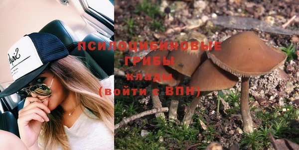 стафф Алзамай