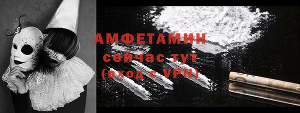 стафф Алзамай
